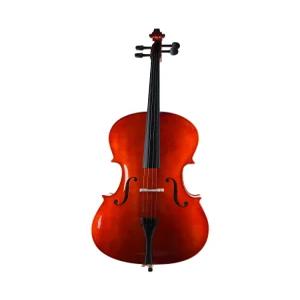 연습용 첼로 악기 연주 레슨 무광 초보자 교육용 기본 초보 음악실 이상 첼로악기