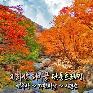 [전남] 지리산 피아골 단풍트레킹(연곡사/삼홍소) 당일여행 / 가을단풍여행 / 서울경기出