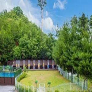 [강원] 양양 글램독 애견펜션(강원펜션/양양펜션)