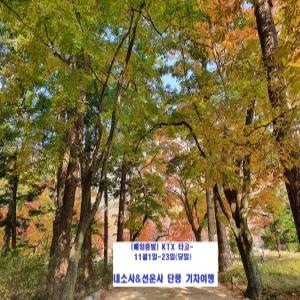 [KTX]부안 내소사&고창 선운사단풍 기차여행(11/1-11/23 당일)