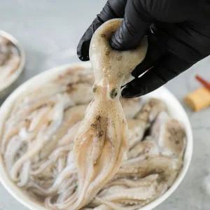 [전라도 청년] 당일조업 서해안 활 쭈꾸미 1kg