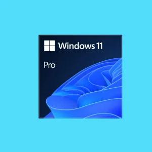 [정품인증점]윈도우11 프로 DSP 한글 설치 제품키 기업용 / Windows 11 Pro 64bit DSP 한글