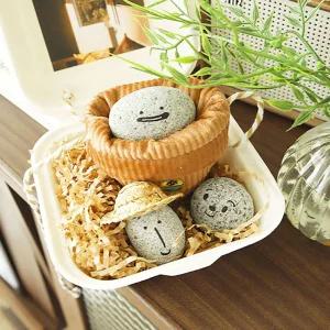 반려돌 애완돌 펫스톤 펫 돌 키우기/펫락 키우는 반려