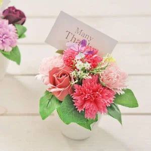 [콩심팥심]나비 비누꽃 카네이션 화분 핑크 어버이날