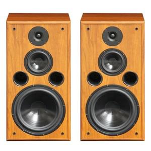 200W 8Ohm Hifi 책장 스피커 고등학교 저음 실크 필름 트위터 F109 발열 패시브 스피커 10 인치 모니터 사