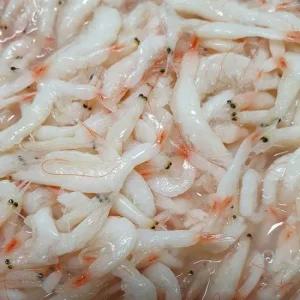 신안 천일염 새우젓 육젓  2kg 1kg  국내산 김장용 요리용 자연숙성 깊은 감칠맛 바다의선물