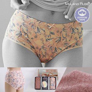 [물랑루즈]정에티켓 순면 요실금팬티 여성맥시속옷 3종세트