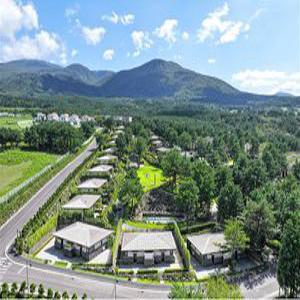 [제주 호텔] 엠버 퓨어힐 호텔 앤 리조트 제주 (제주시)