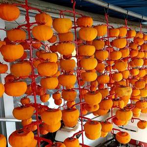 곶감만들기 걸이 꽂이 집에서 수제 베란다 대봉 곶감만들기