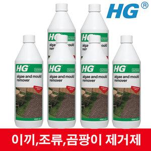 HG 이끼 곰팡이 제거제 1L(6개): 바닥 외벽 테라스 정원 마당 벽돌 이끼 녹조 현상 제거 클리너 녹색 곰팡이 녹조 제거제 조류 세척 청소 세제 세정제