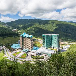 [숙세페] 강원 하이원리조트(메인타워/컨벤션타워/팰리스호텔) 객실 1박+1만원 상품권