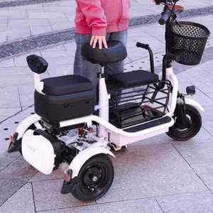 세발 전기자전거 렌탈 경량 어르신 전동 접이식 배달