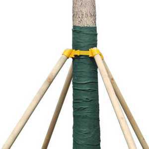 나무 지지대 지주목 후프 묘목 프레임 고정장치 가로수 지지목 4개 세트