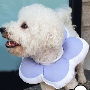 [콩심팥심]강아지 넥카라쿠션 중성화 꽃모양 고양이넥카라 퍼플L