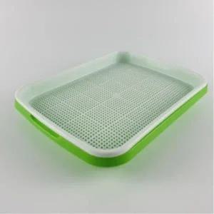 [콩심팥심]모종 발아 트레이 새싹 보리 재배기 용기 새싹 채소