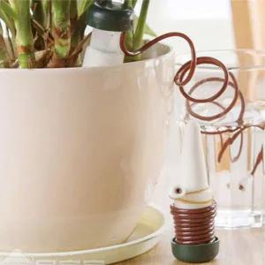 [콩심팥심]식물 다육이 자동급수기 화분 텃밭 자동물공급기