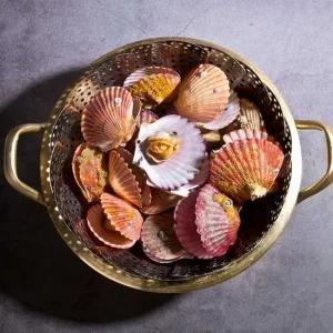 [산지직송] 겨울제철 경남 고성 홍가리비 2kg