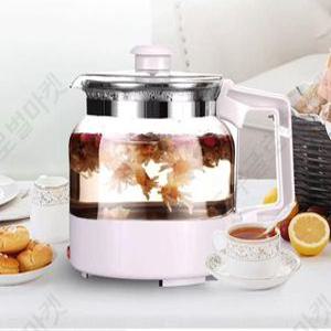 가정용 약탕기 십전대보탕 총명탕 제조기 홍삼 약탕기추천 중탕기 전기 보온 간편한사용