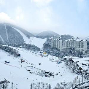 [2025 동계 숙세페] 모나 용평리조트 객실 PKG (객실 1박+리프트 반일권(or케이블카or애니포레) 2매+장비 렌탈 반일권(or이나트or공룡해양랜드) 2매)