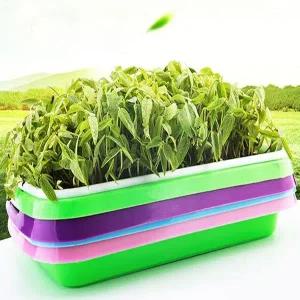 [콩심팥심]가정용 식물 새싹키우기 실내 가드닝 식물재배기 채소재배기