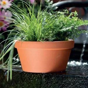 분재 화분 황토색 도자기 D22x11cm