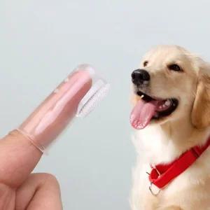 강아지 프리미엄 손가락 고양이 기획상품 실리콘 칫솔