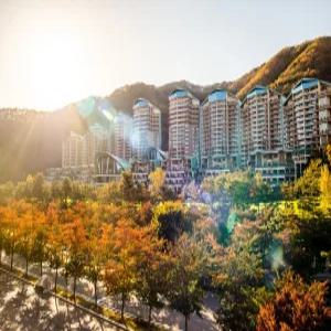 [강원 호텔] 소노펠리체 비발디파크 (홍천,횡성)