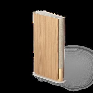 뱅앤올룹슨 베오사운드 Emerge Gold 유선 스피커