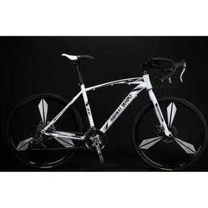 가성비로드자전거 입문용 경량 티타늄실버 26인치
