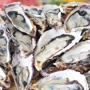 국내산 여수 화양면 조업 최상급 석화 3kg 5kg