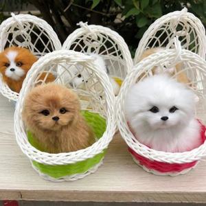 반려묘 강아지인형 진짜같은 반려견 동물