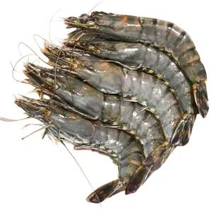 어부백서 냉동 블랙타이거새우 10미 20미 500g