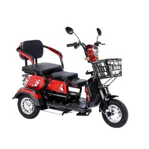 세발 전기 스쿠터 삼륜 전기자전거 자전거 어르신