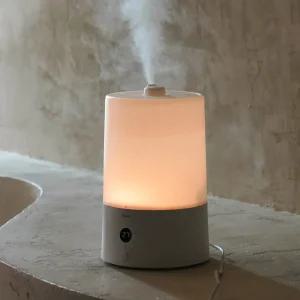 HAAN 간편통세척 저소음 자동습도조절 복합식가습기 4L 리모컨형/가정용 사무실 아기가습기