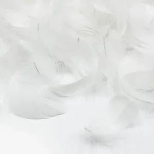 인조깃털 화이트 깃털 드림캐쳐 썬캐쳐 새깃털 구스깃털