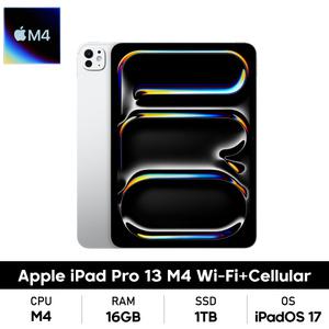 Apple 아이패드 프로 13 7세대 M4 WiFi + 셀룰러 1TB 실버 (MVXX3KH/A)_SS