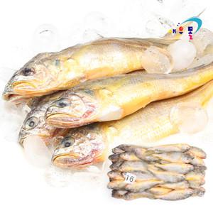 [새우몰] 업소용 참조기 3kg 48-52미내외