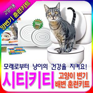 고양이배변훈련 화장실훈련키트 시티키티 변기훈련기