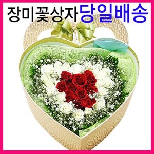 장미꽃상자 꽃의 싱싱함이 그대로/생일/축하/기념일