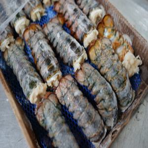 캐나다 직수입 랍스터테일 120g-198g 8마리 냉동 랍스타 꼬리 버터2개