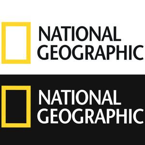 (무료배송) 내셔널지오그래픽 블랙 화이트 1세트 차량 스티커