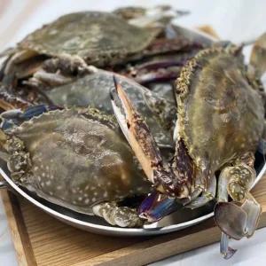 국내산 급냉 선동 꽃게 1kg