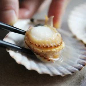 [맛꾼] 달큰한 통영 제철 홍가리비 2kg(kg당 22미 내외)