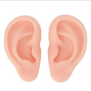 키밍 실리콘 귀모형 양쪽 세트 교육용 걸이전시 피어싱연습용 마네킹 침뜸 도구 인조 왼쪽 오른쪽 가짜 다