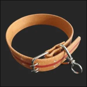 개줄 대형견 애견 소 목줄 밸트삼각 목걸이 40mm 튼튼