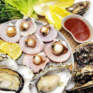 [통영수산물시장] 석화굴 5kg+홍가리비 5kg