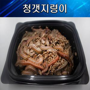 바다낚시미끼 갯지렁이 청개비 청갯지렁이 원투미끼