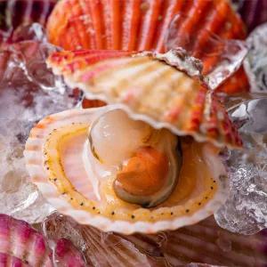 당일조업 국내산 홍가리비 2kg /HB