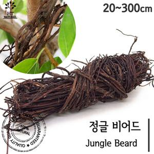 세틀 정글 비어드 유목 500g 1팩 / 테라리움 팔루다리움 비바리움 수족관 어항 가지 덩쿨 넝쿨 장식품 인테리어 소품 양서류 파충류 화분 도마뱀 화훼