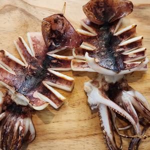 포항 구룡포 반건조 오징어 5미 반건오징어 피데기 원양산